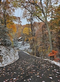 One view from the cabin.