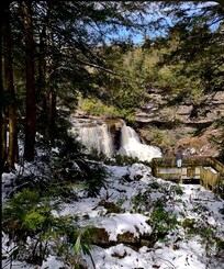Blackwater falls