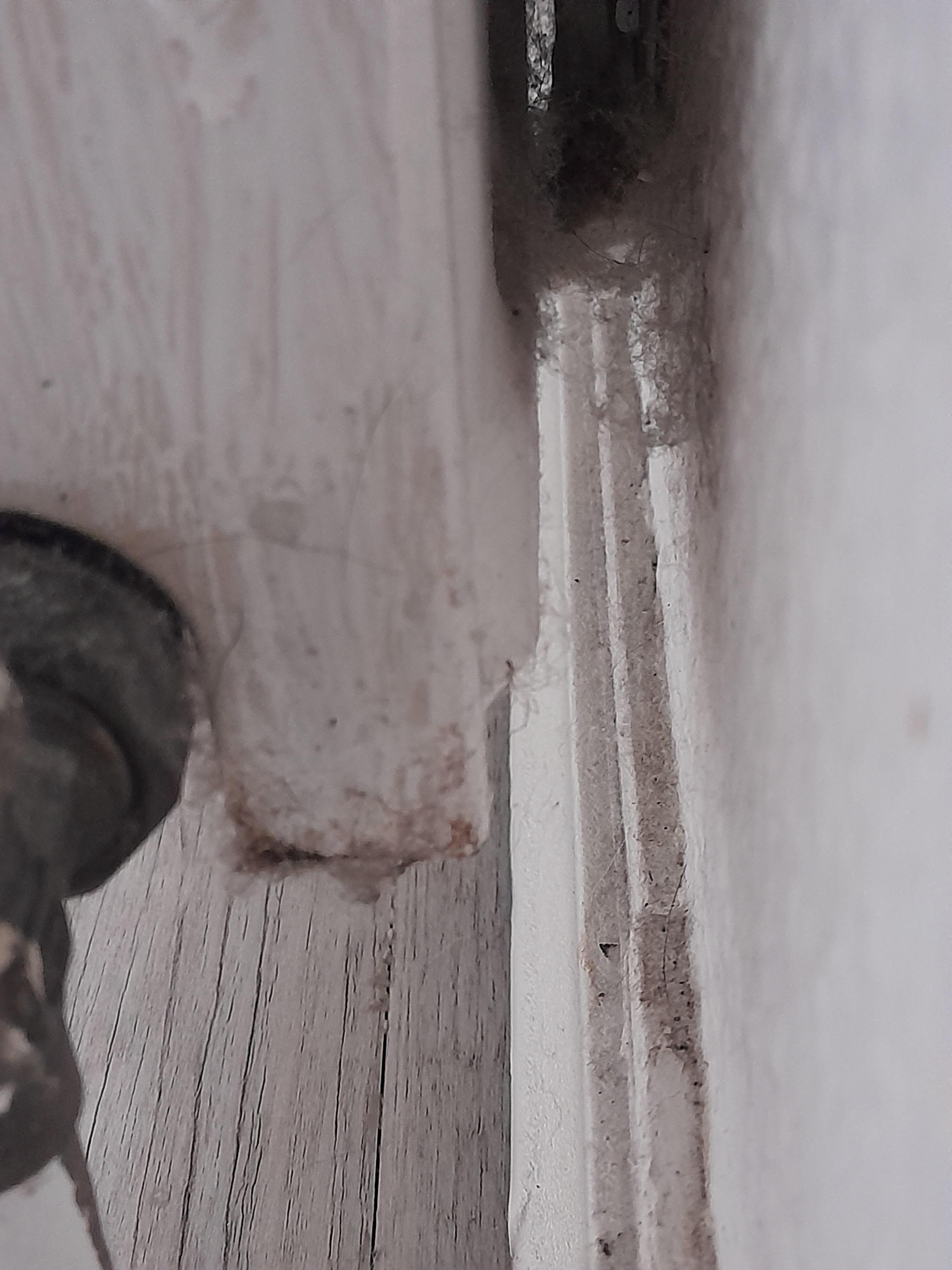 Hinter den Heizungen