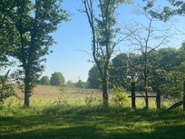 View from the backyard