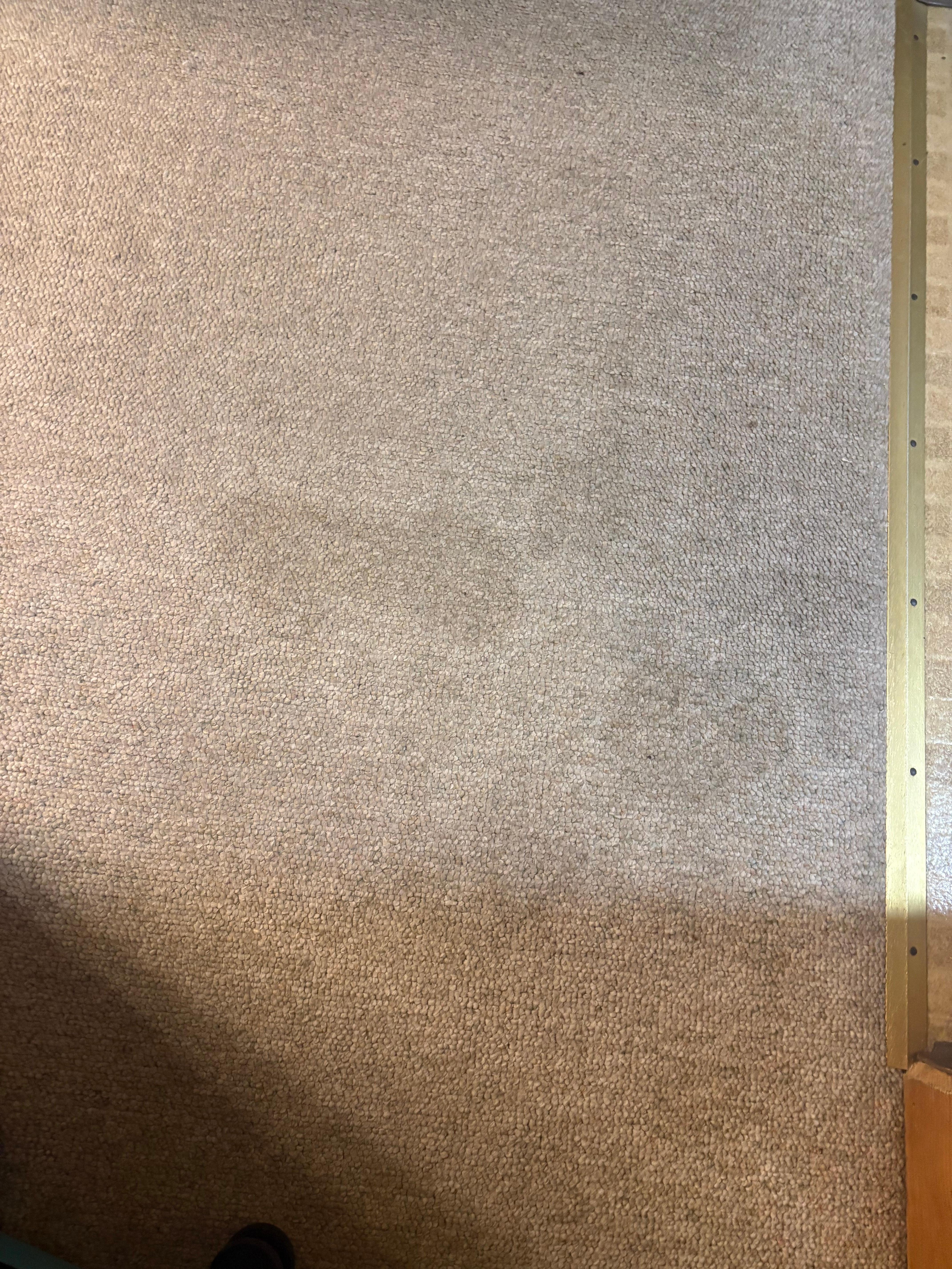 Stained gross stinking carpet 