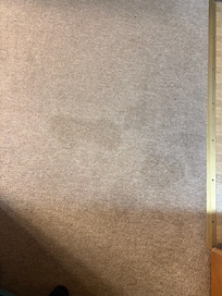 Stained gross stinking carpet