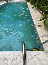 Pool, versandet und ungepflegt