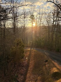 Sun rising through the trees from the porch
