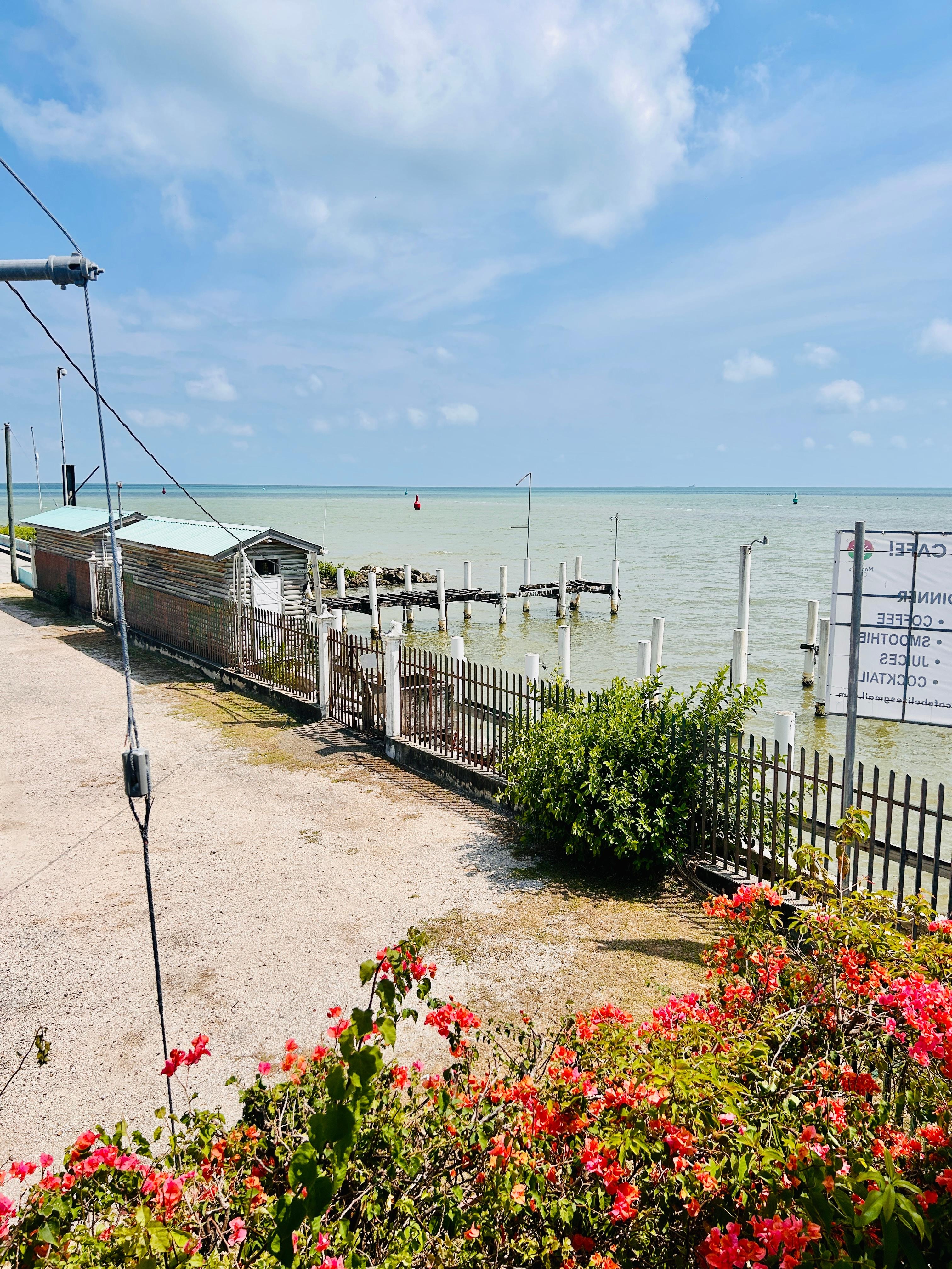 View at Martha's cafe