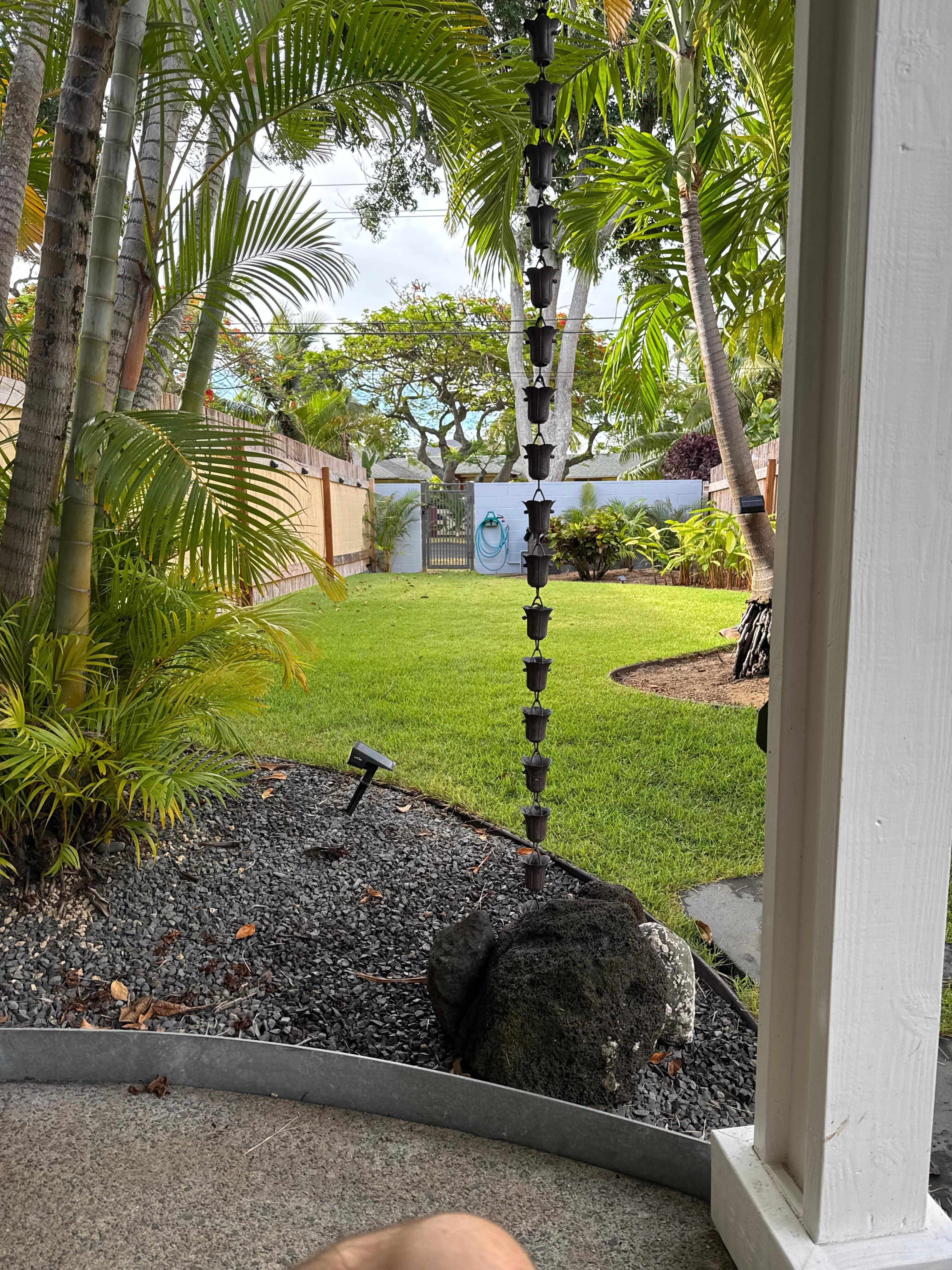 Morning coffee refuge. 