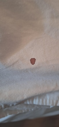 dirty blanket