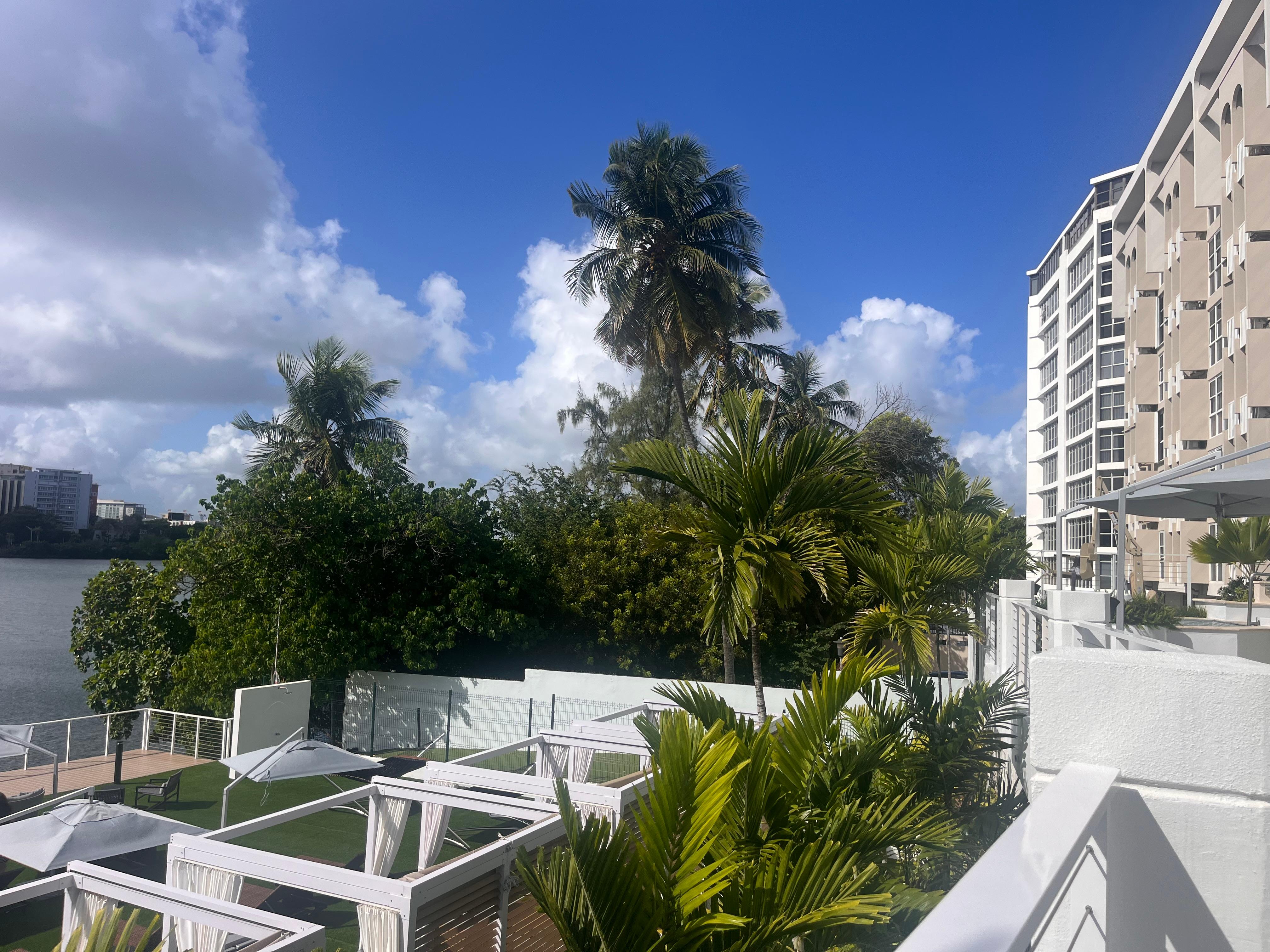 Pool deck view