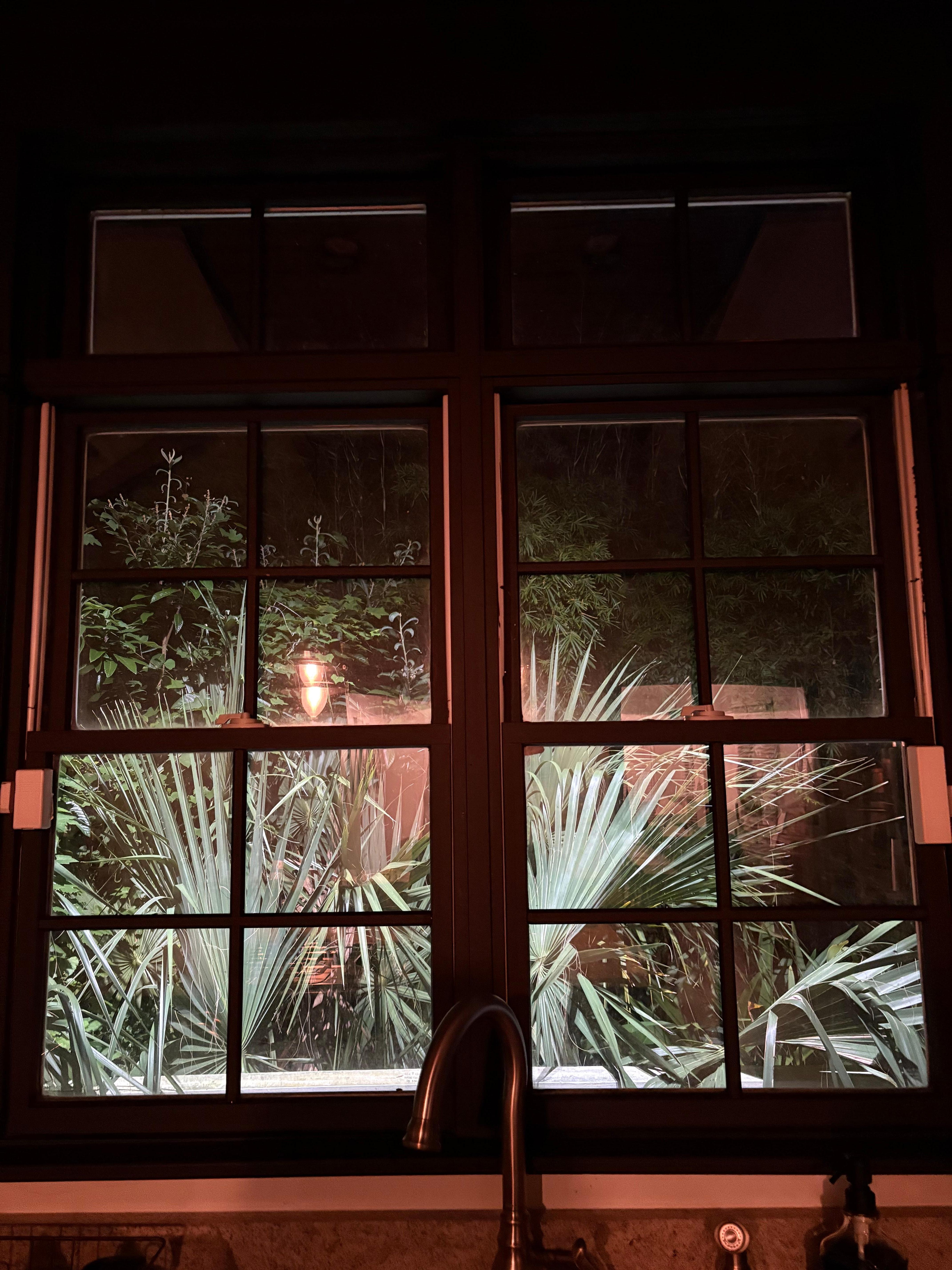 View from the arched window in the kitchen 