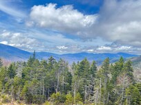 Take a day trip on the Kangamangus Highway. Sooo worth it.