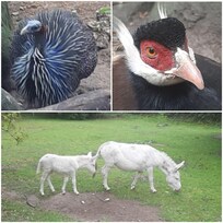 Besuch im Zoo