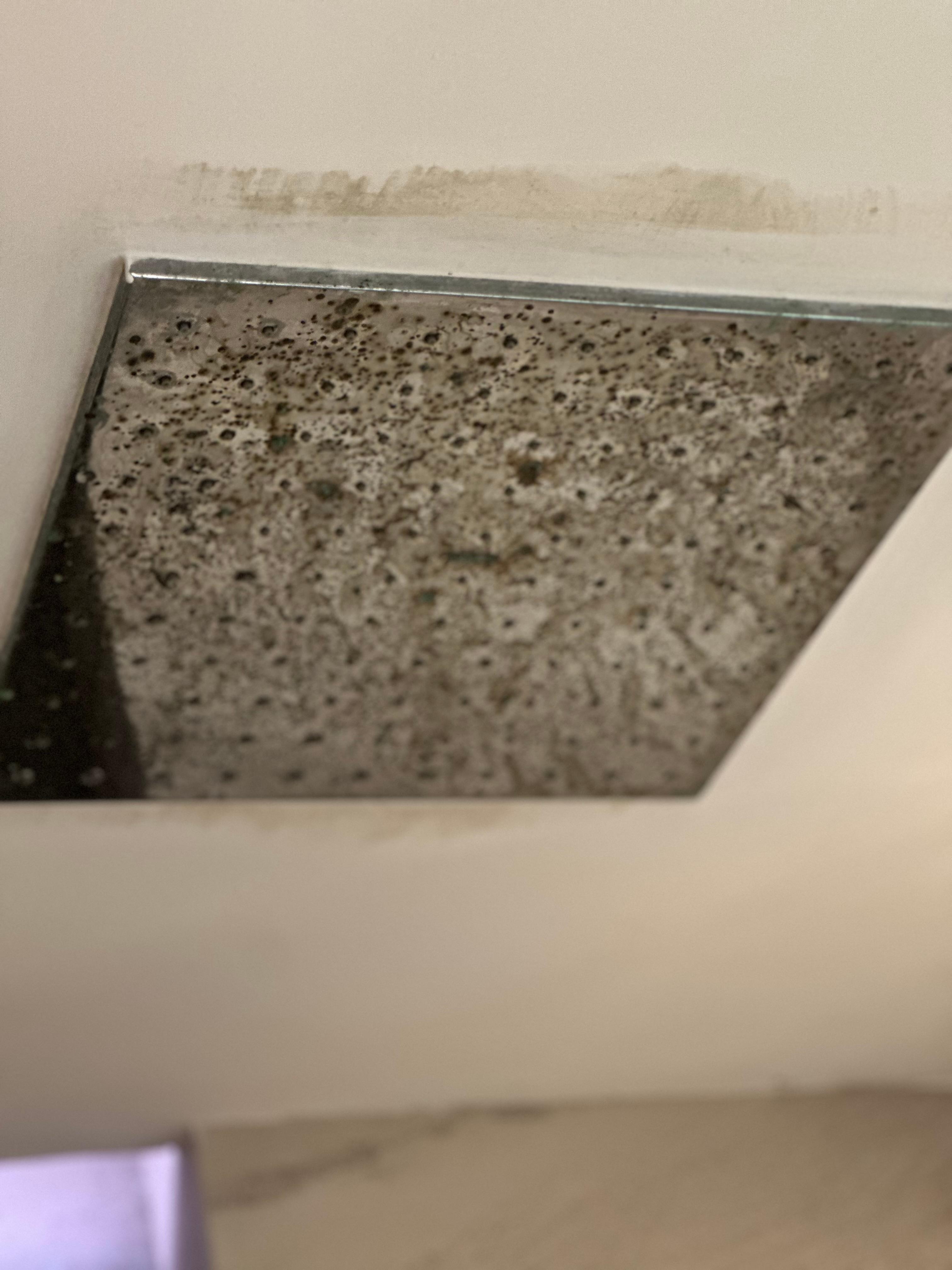 Mold covering the shower-head