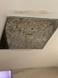 Mold covering the shower-head
