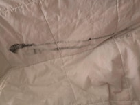 Bedding