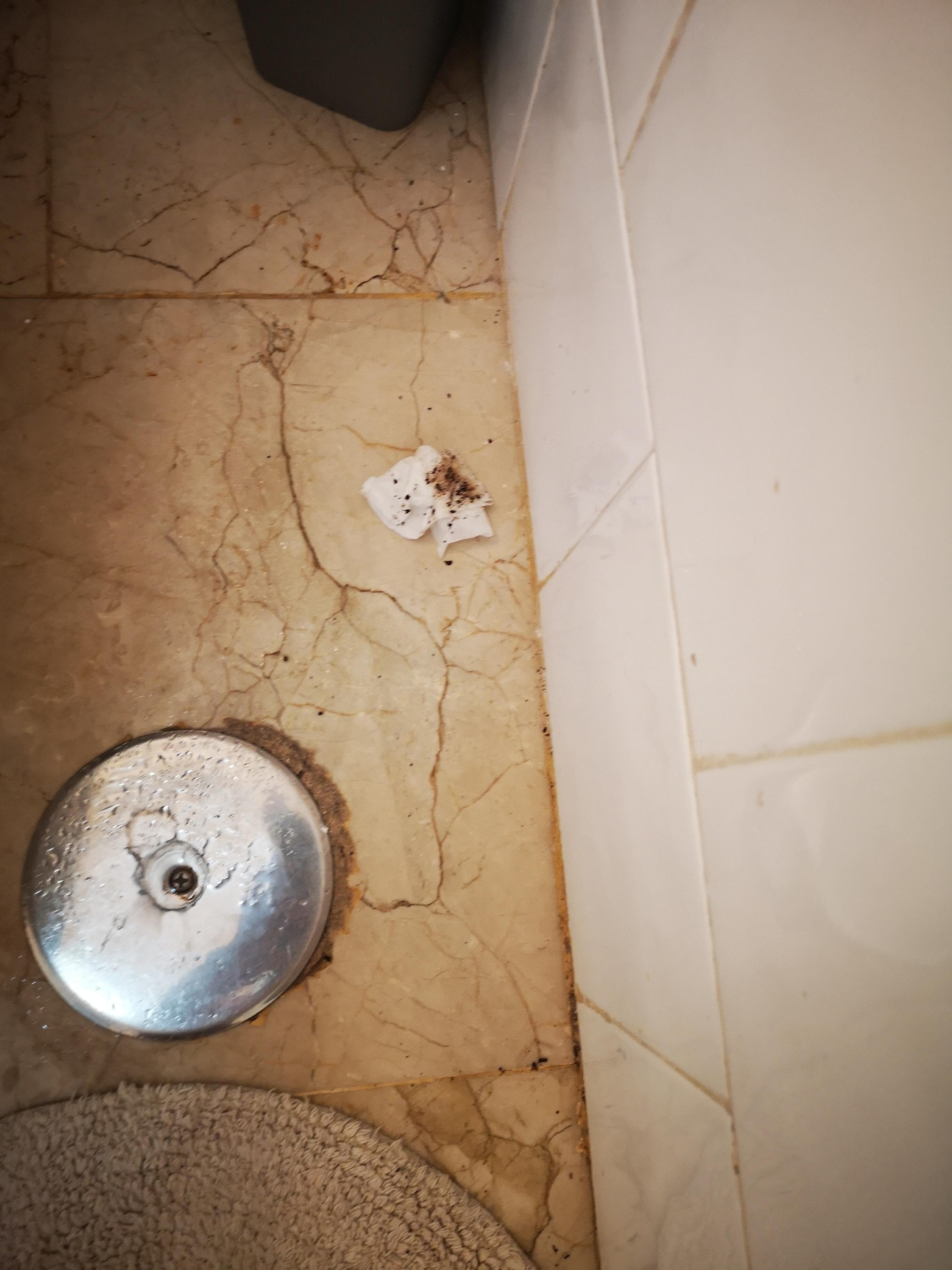 Bathroom floor filthy