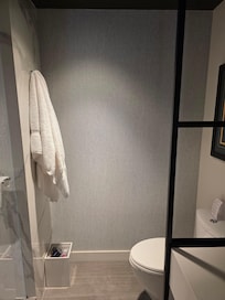 Echo friendly toilet 2 different flushes