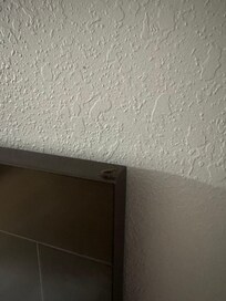 A lot of Roaches zoom in on photo