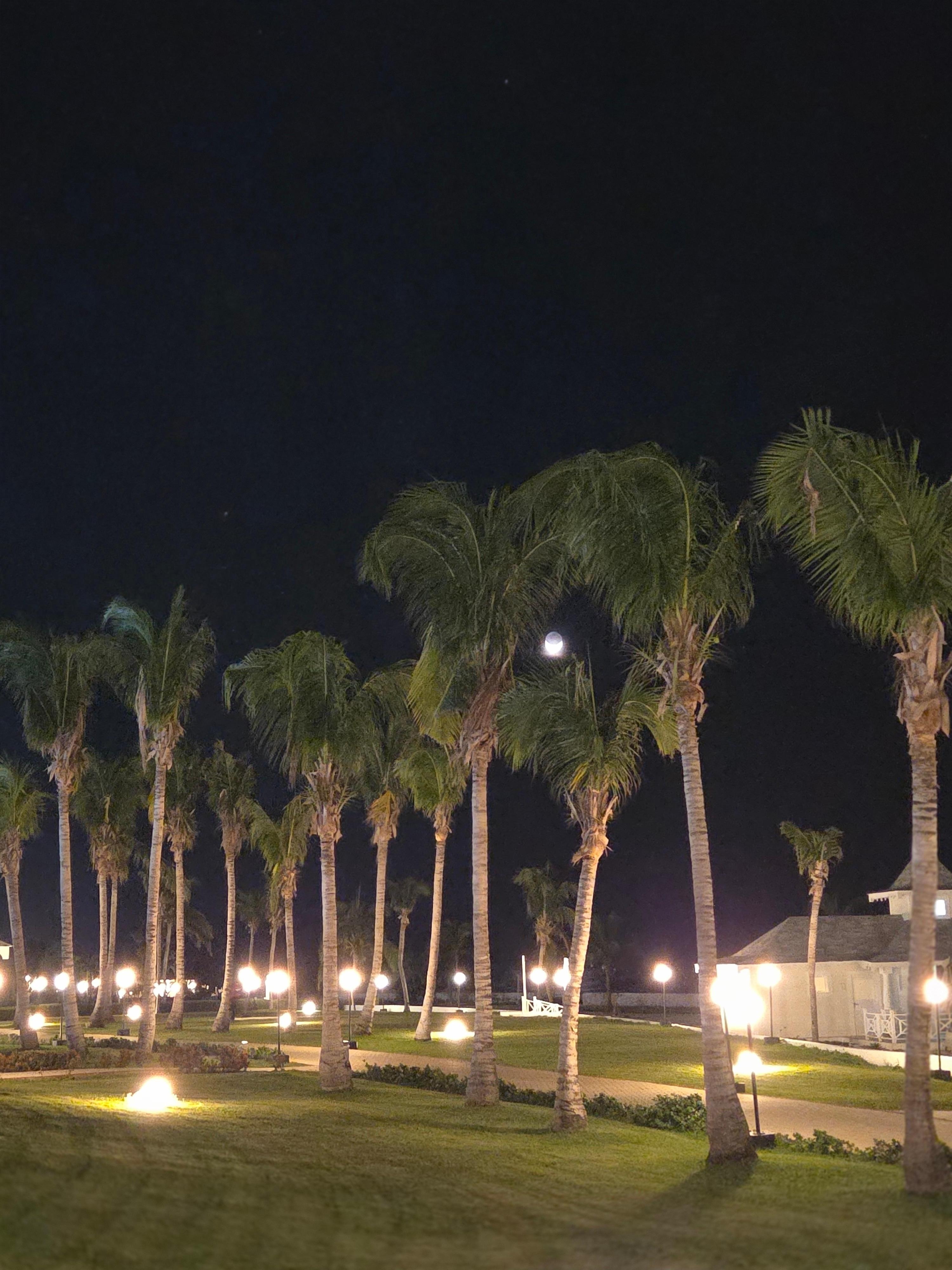 Evening stroll to a restaurant for supper. 