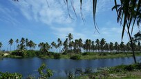 Lagoa nos fundos da Pousada