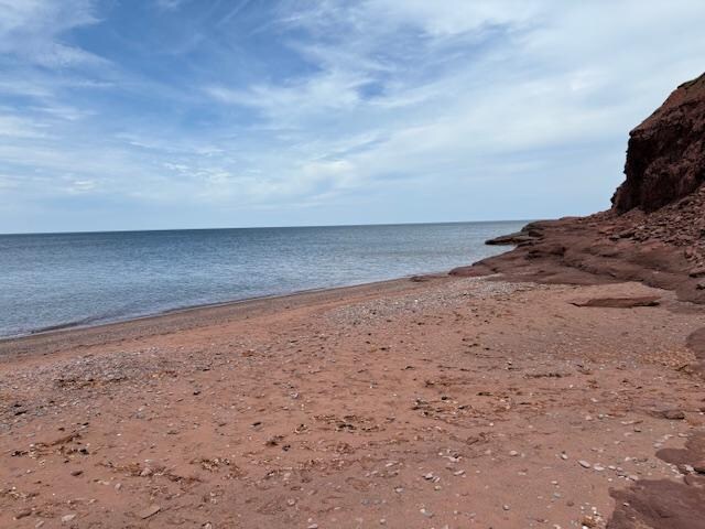 The beach