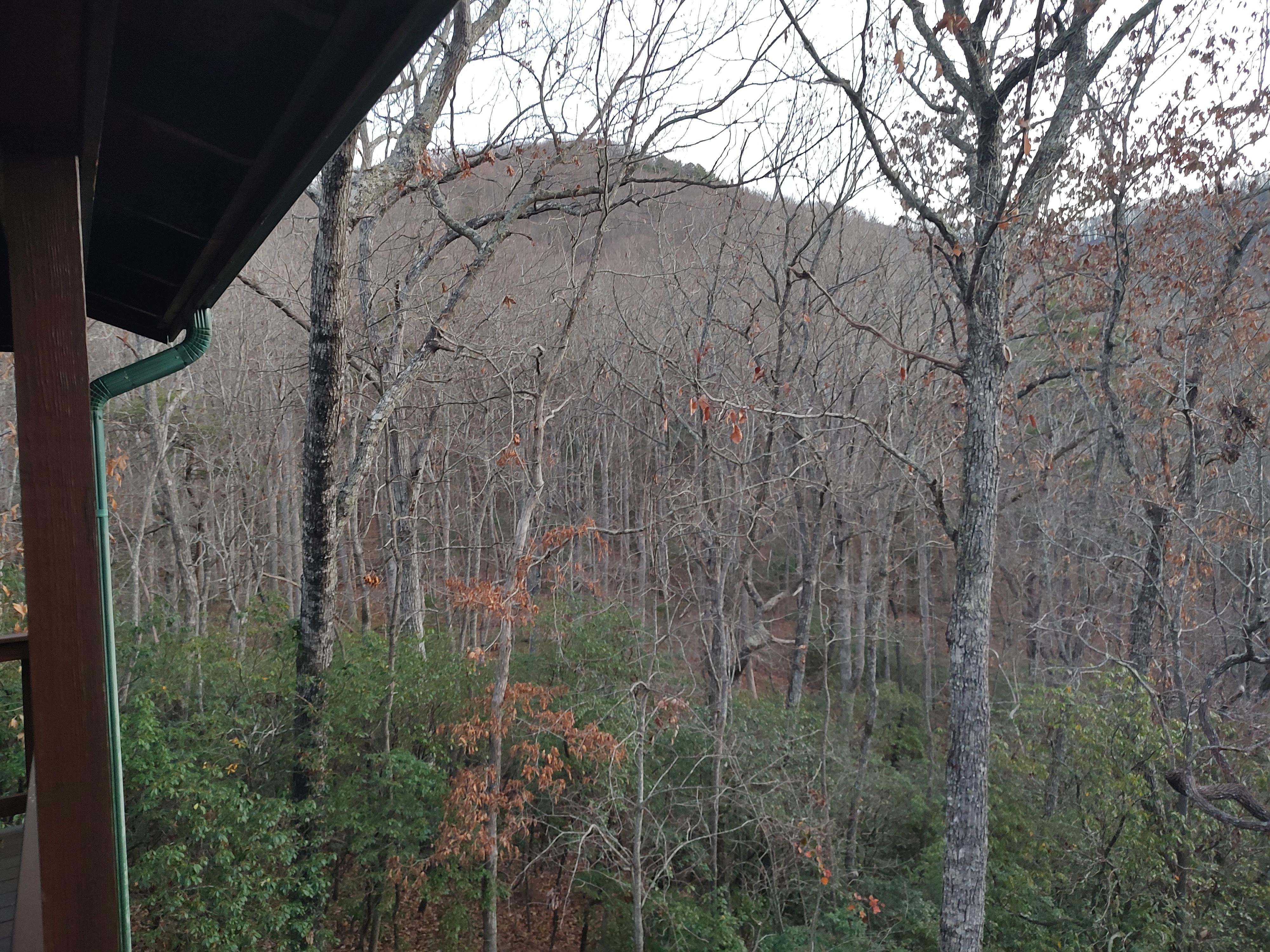 View from the back deck