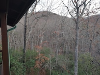 View from the back deck