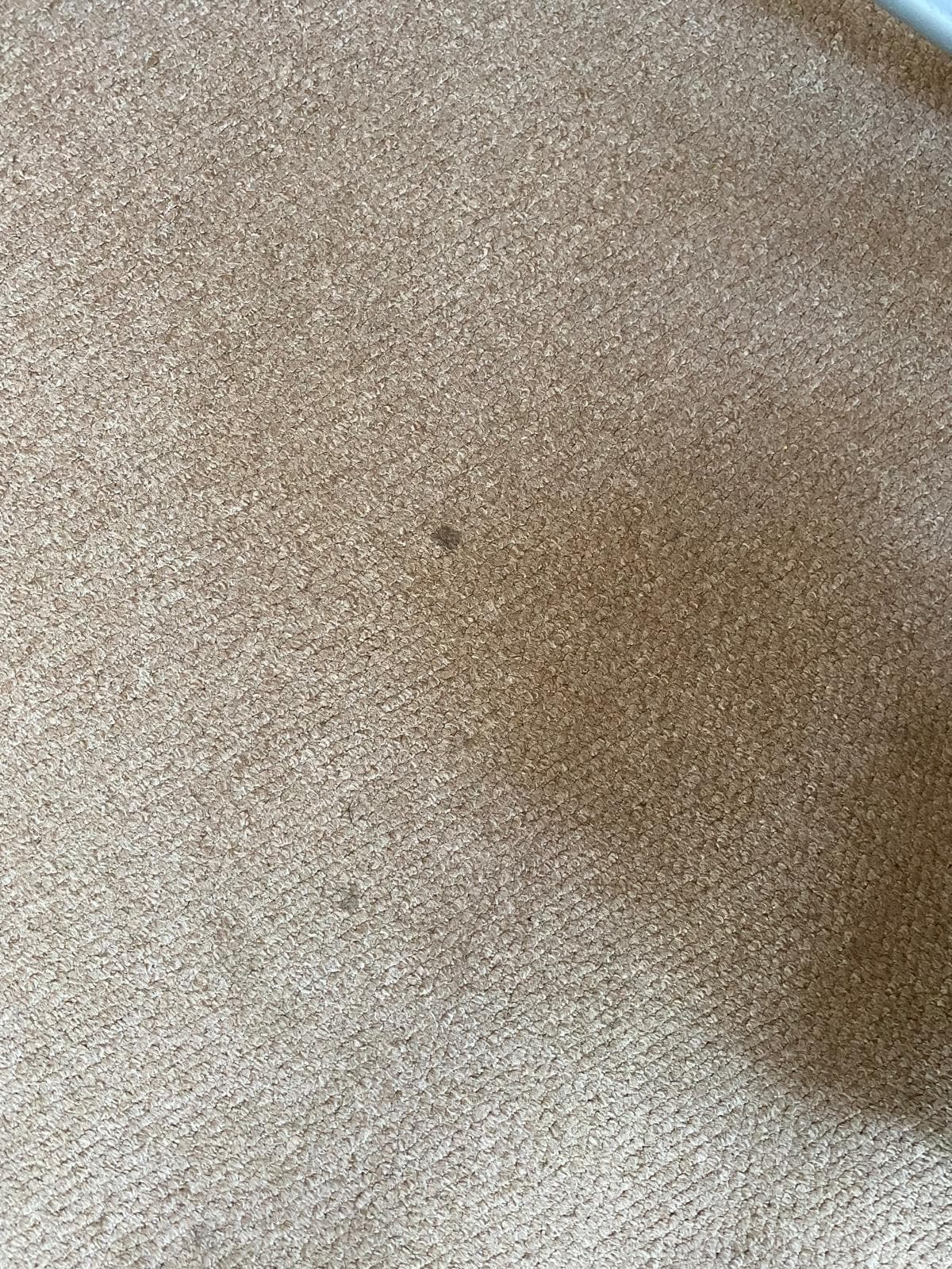 Allergiker freundlich, nein. 