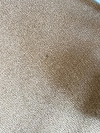 Allergiker freundlich, nein.