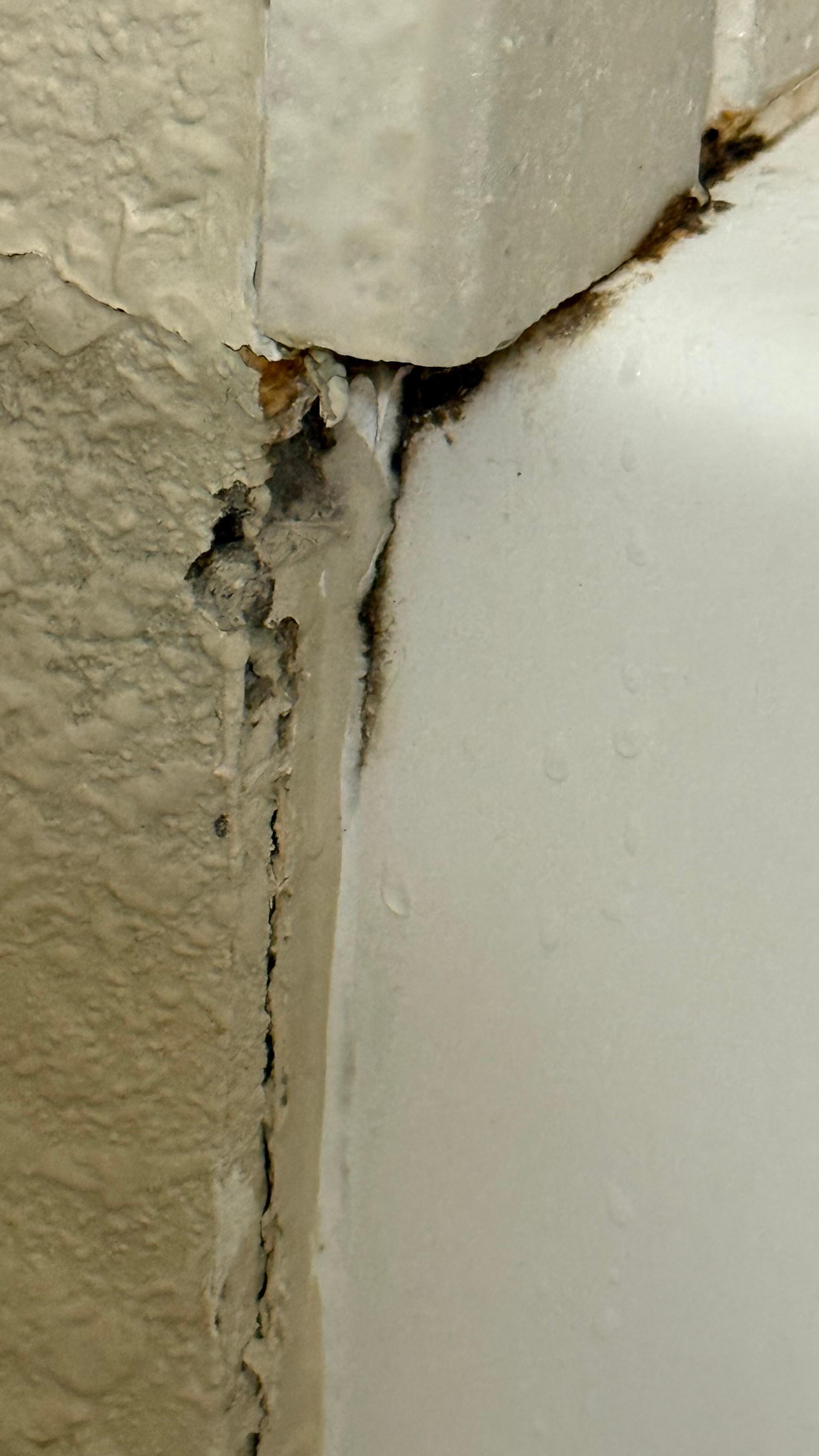 Black mold all around the bathtub 