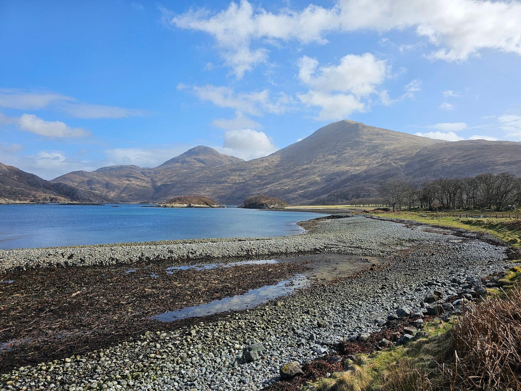 view down by the shore of the loch