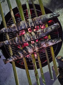 Leckerer Barracuda von Grill