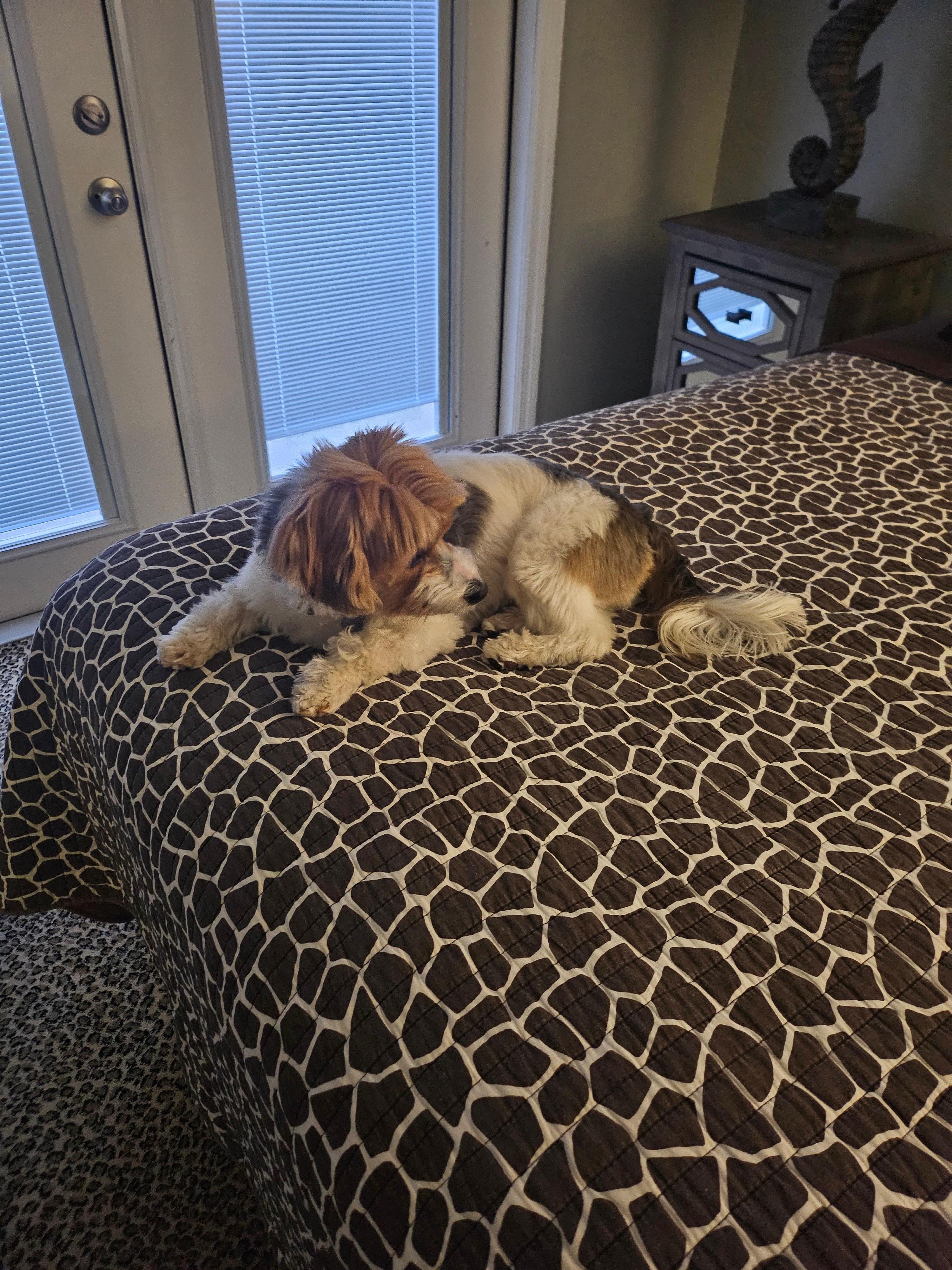 Nova loved her stay