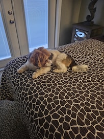Nova loved her stay