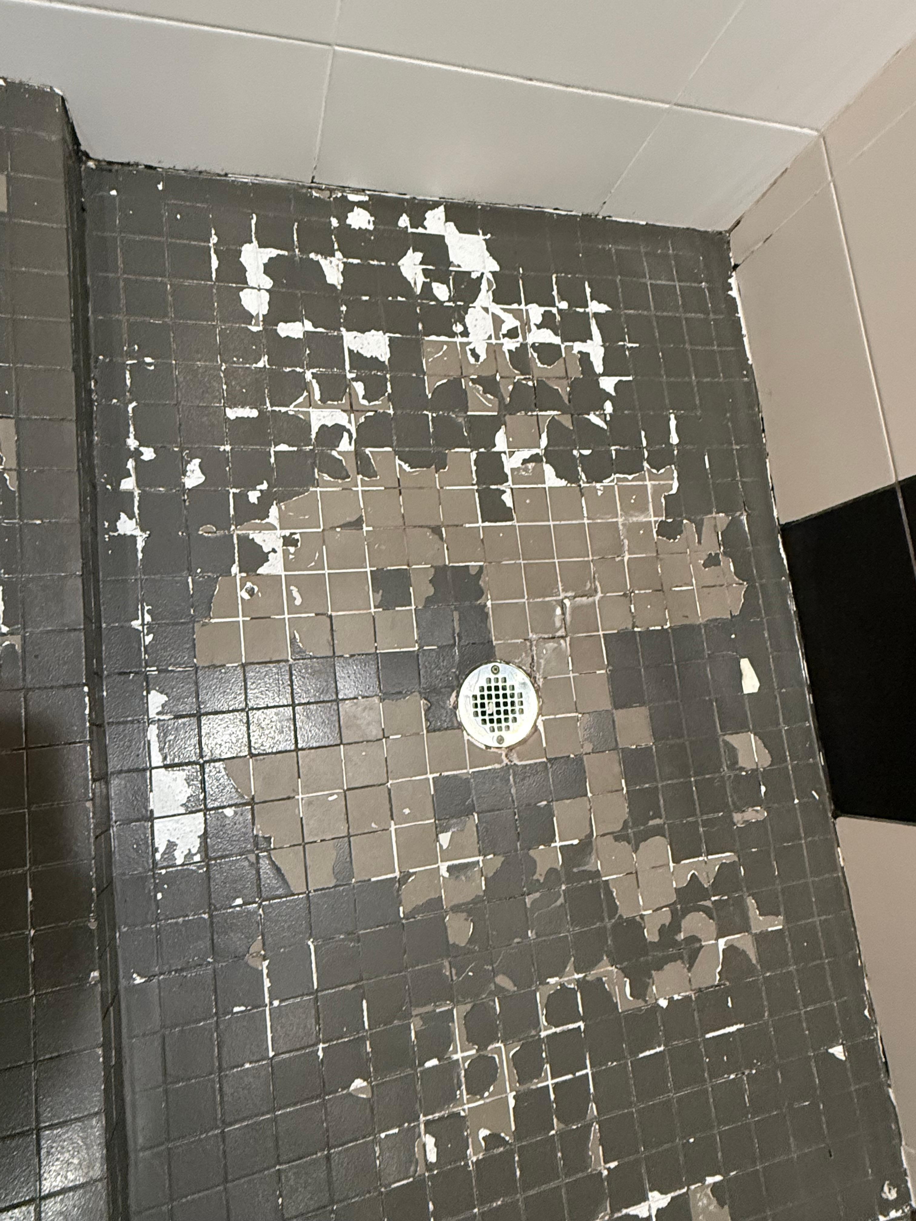 Shower floor