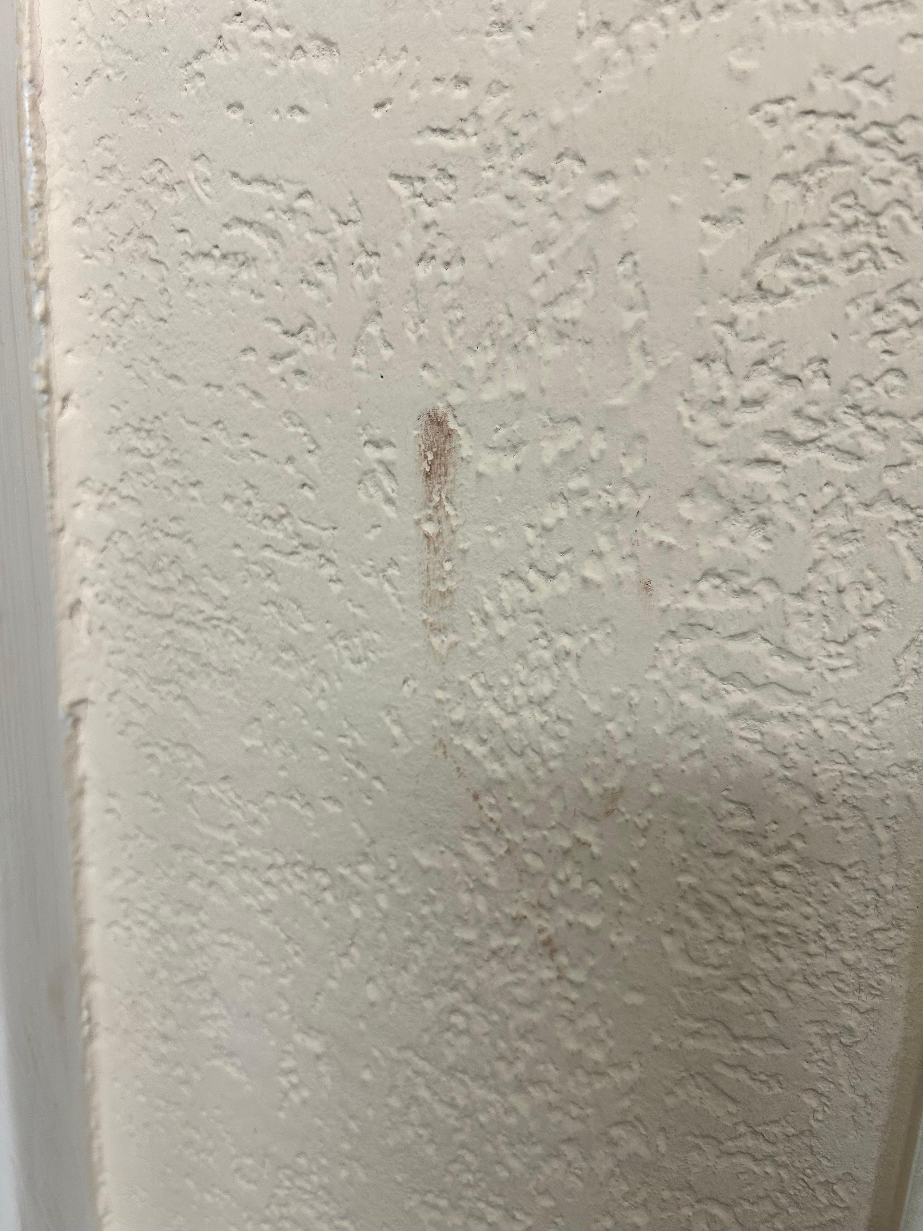 Lots of these marks on the walls