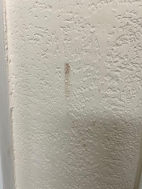 Lots of these marks on the walls