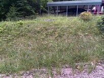 Not mowed