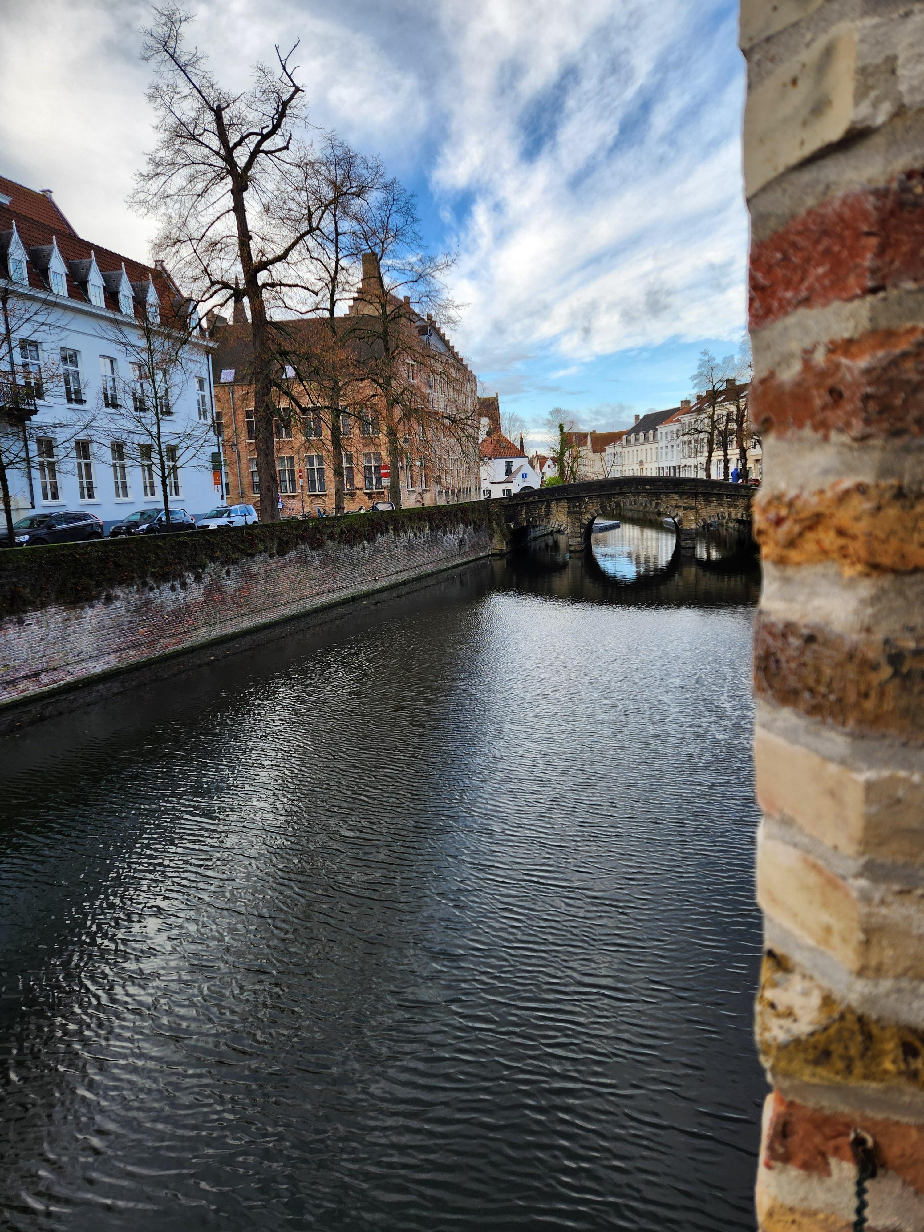 Vue depuis la chambre 