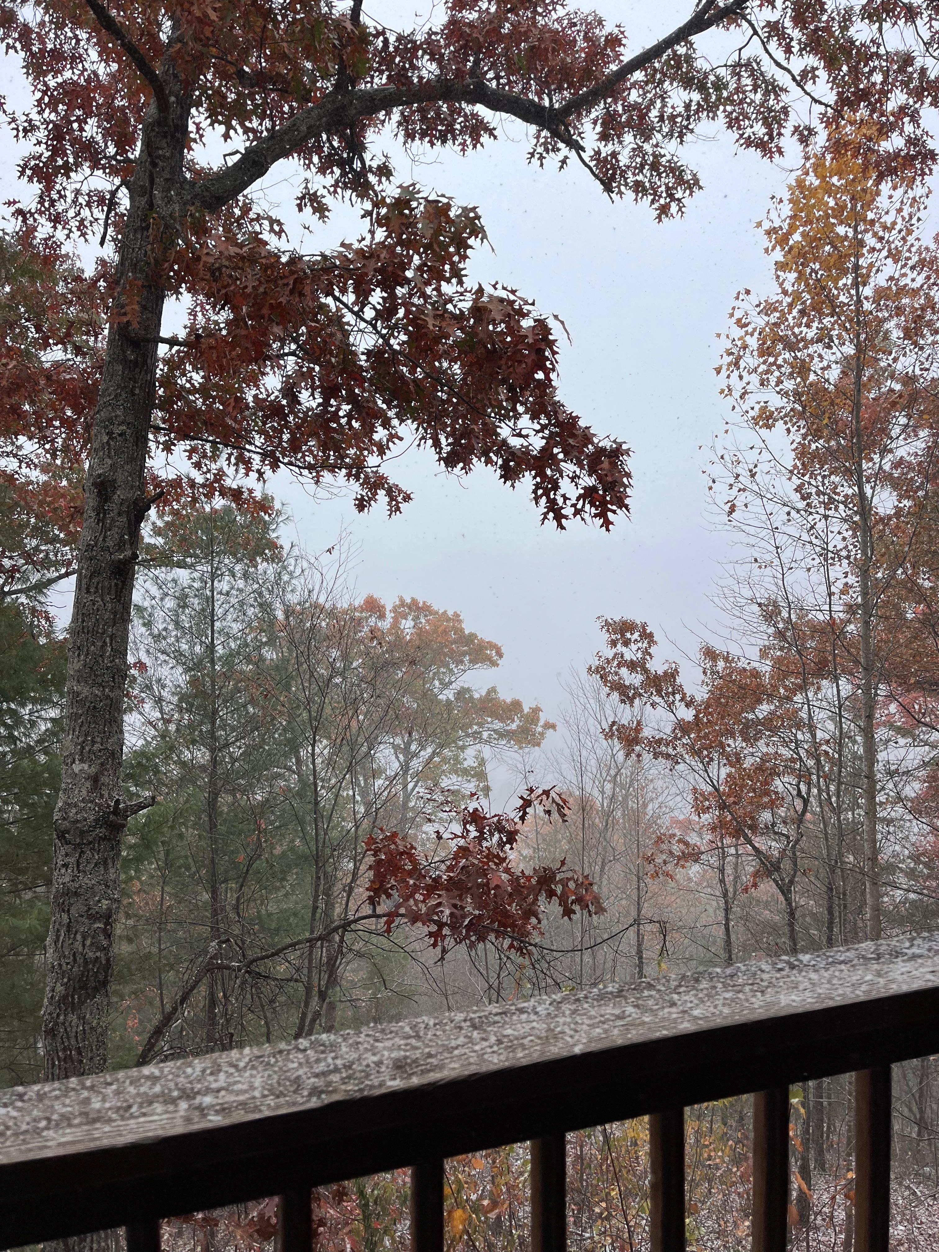 Snow flurries white-washing the canvas