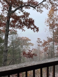 Snow flurries white-washing the canvas