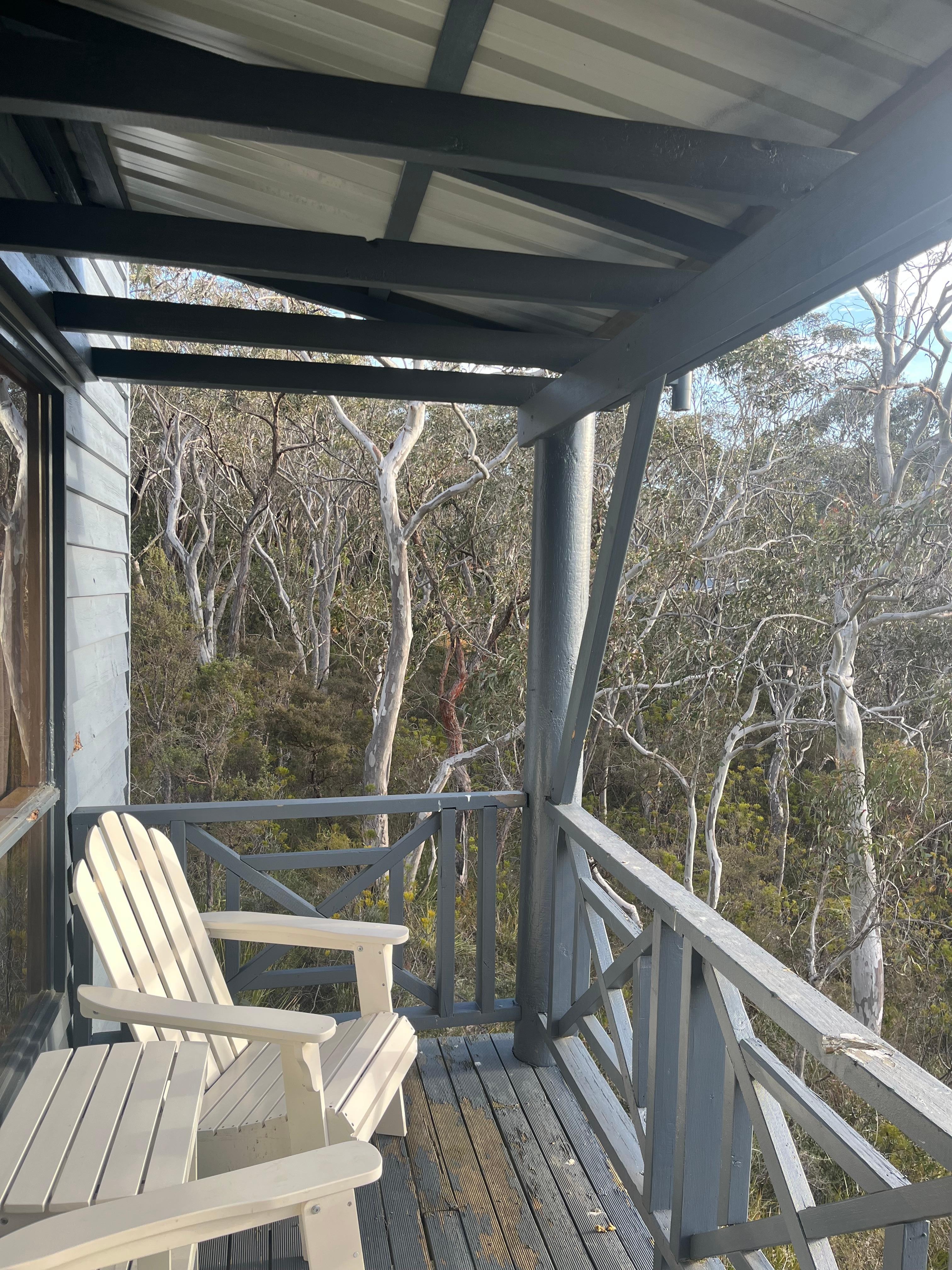 Porch is surrounded by trees