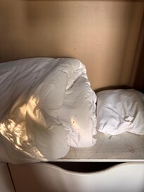 Looked like blood stains on duvet so we could not use it.