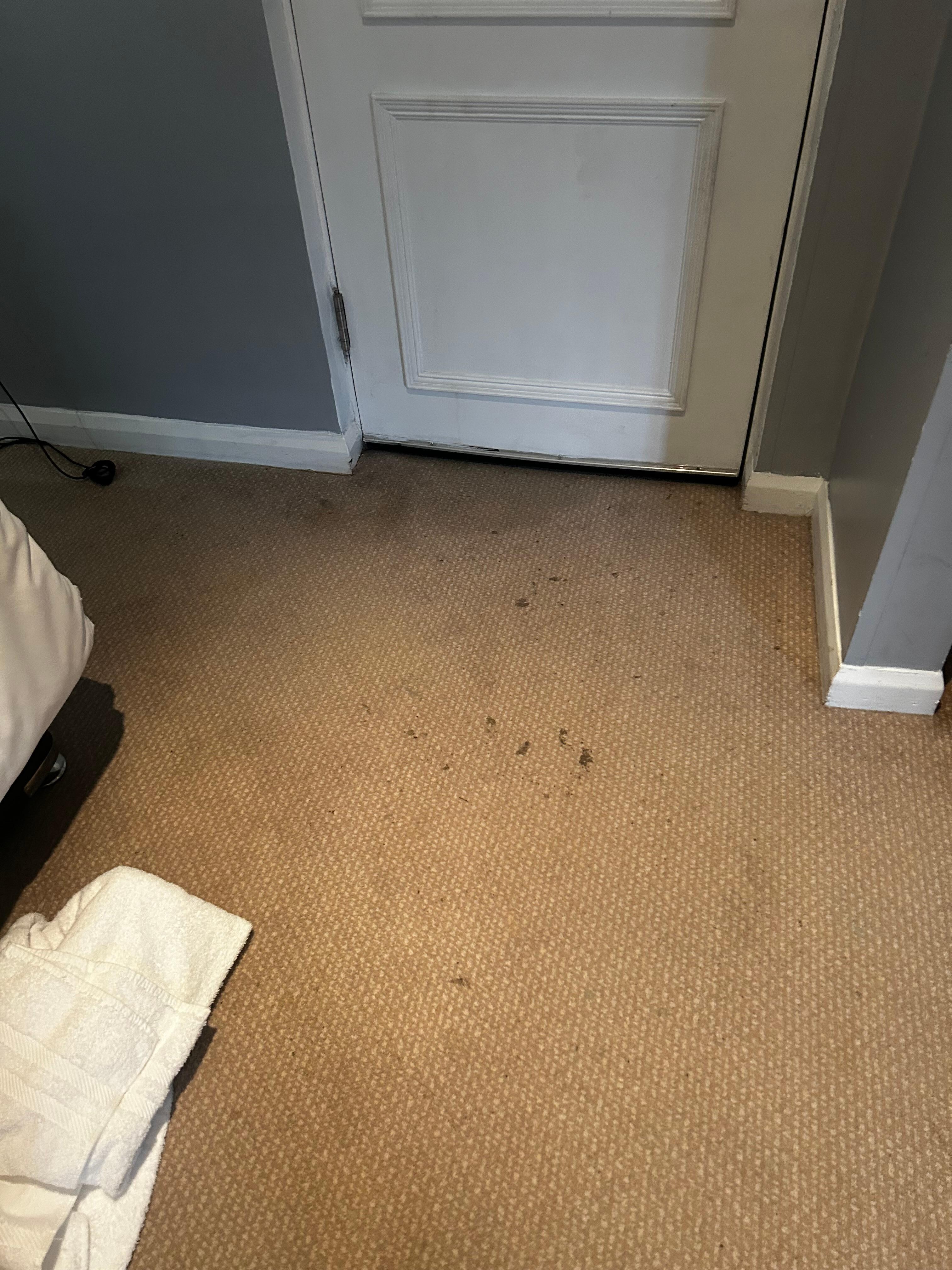 Carpet in the bedroom