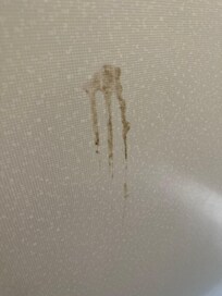 This was what was on the bathroom stall wall. For all 3 days I was there, and probably longer!