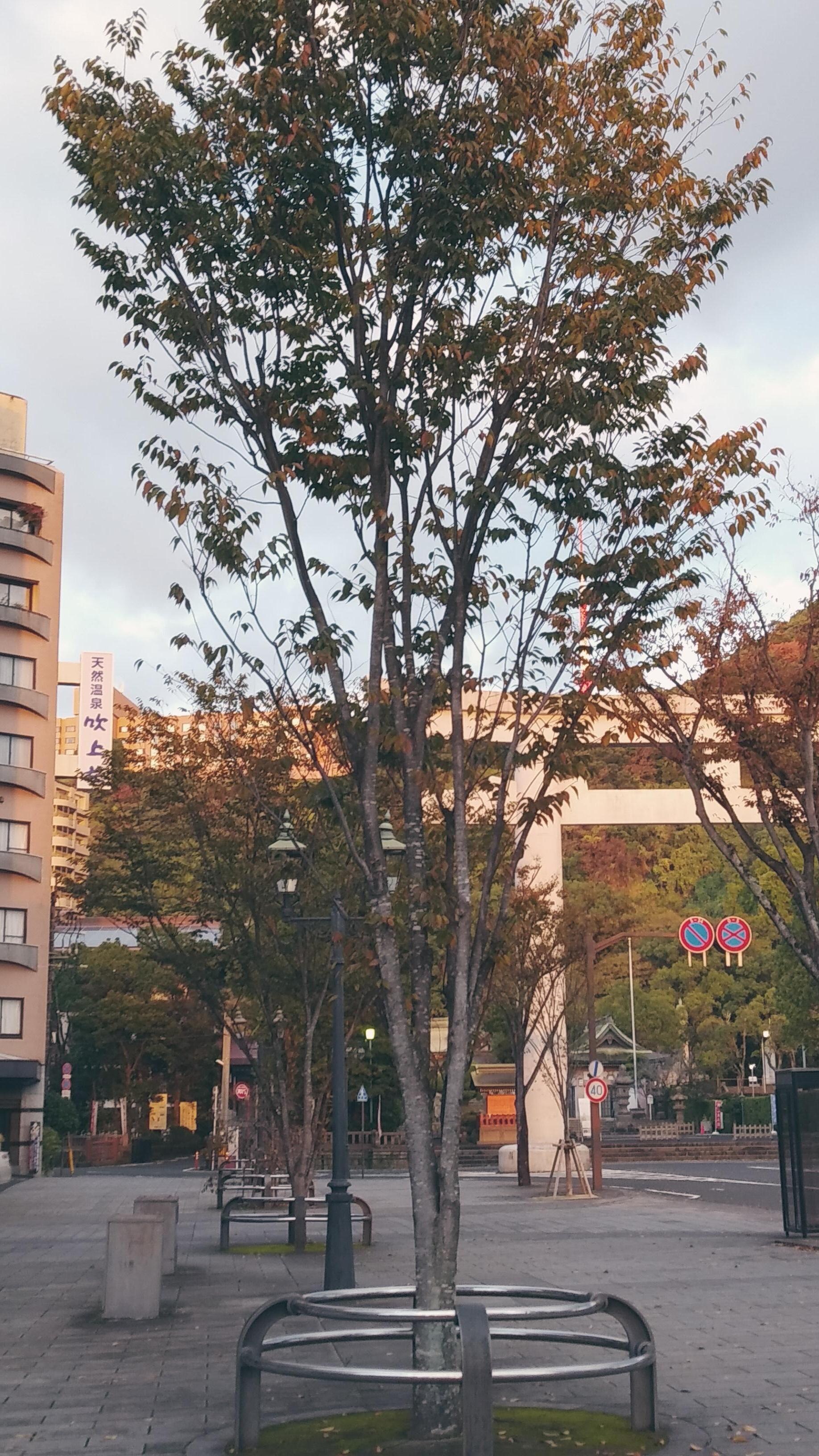 ホテルの横には照国神社