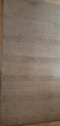 nasty dirty carpet between beds