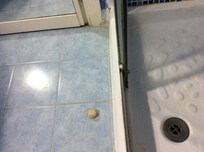Douche pas au niveau d un 4*