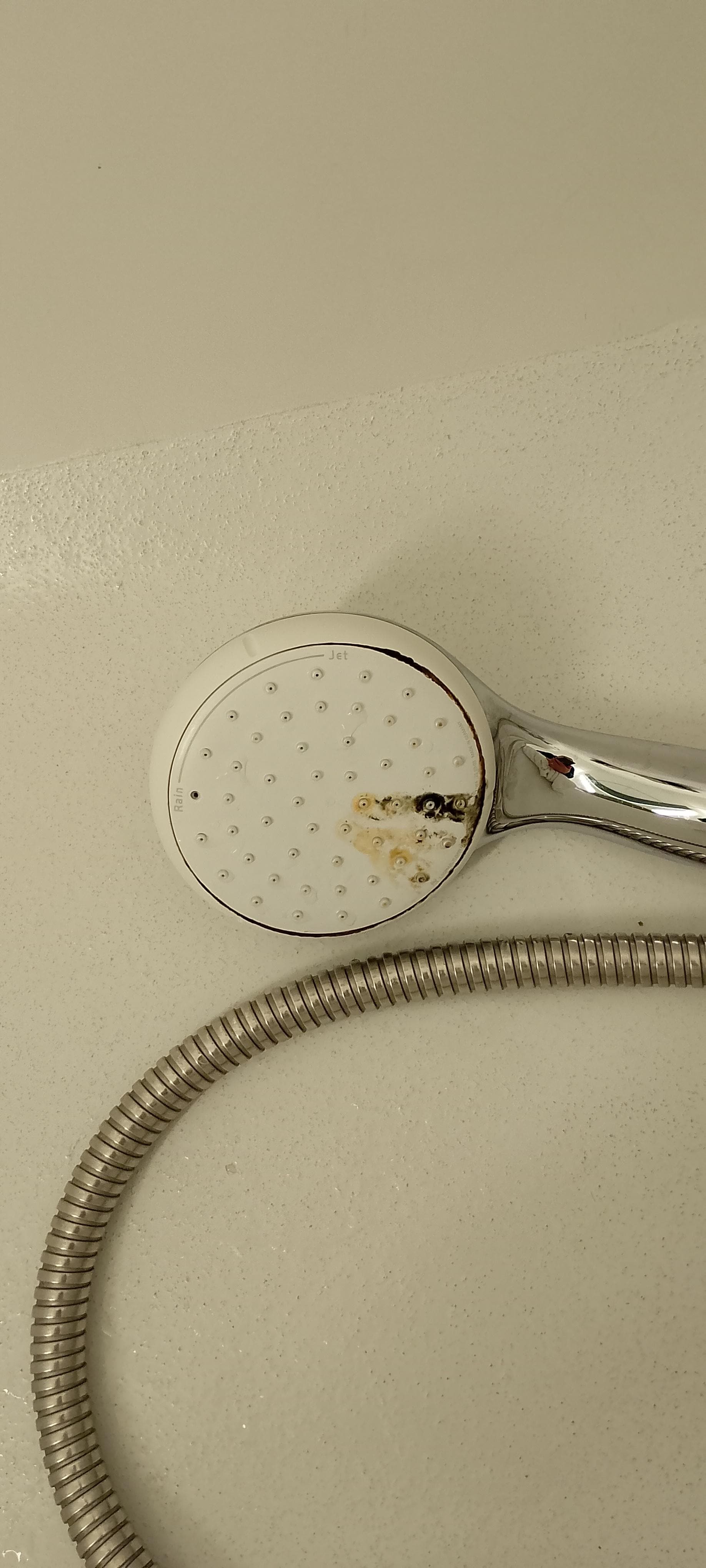 Mould on shower head. Worried about catching legionnaire disease.
