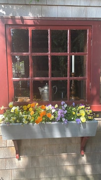 Kitchen window