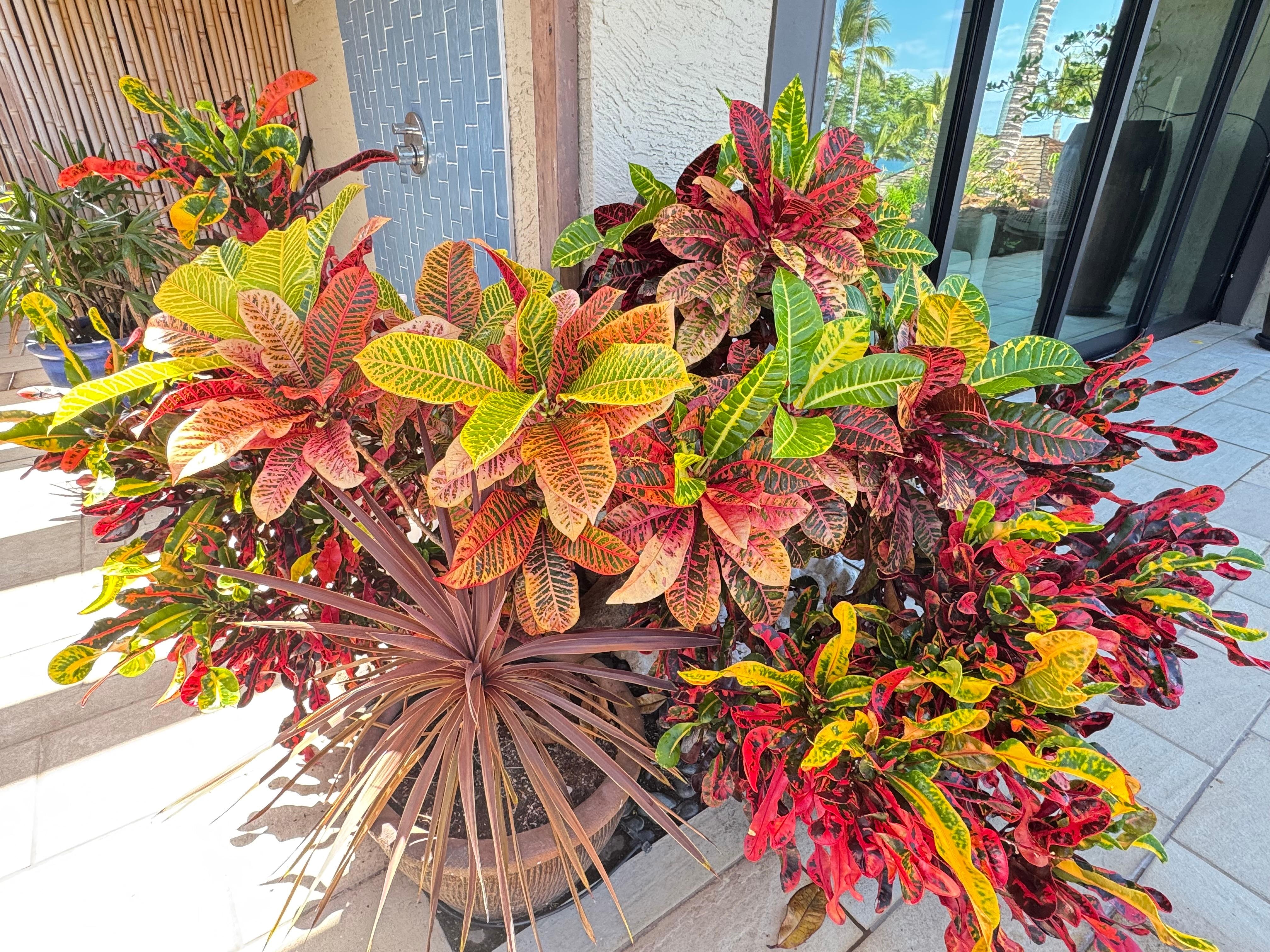 Beautiful vegetation 